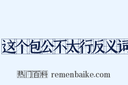 这个包公不太行反义词是什么意思的图片